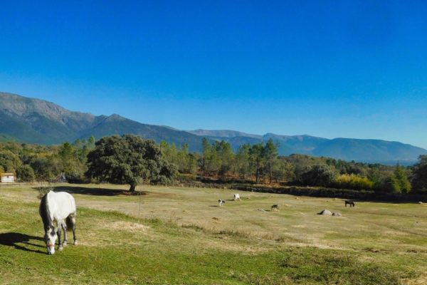 Granja-CasaVieja-Un-lugar-inolvidable3